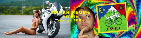 стафф Касимов