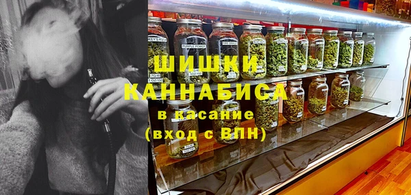 стафф Касимов