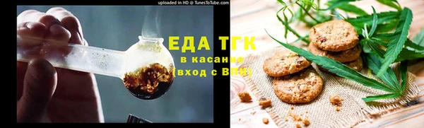 стафф Касимов