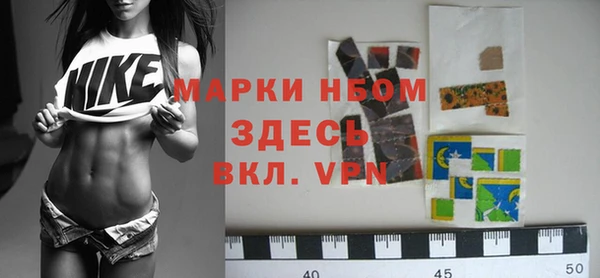стафф Касимов