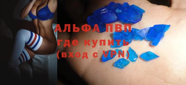 стафф Касимов