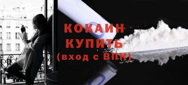стафф Касимов