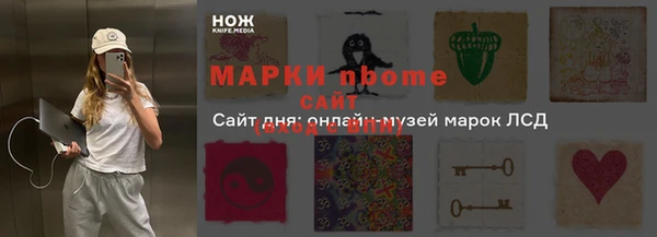 стафф Касимов
