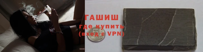 стафф Касимов