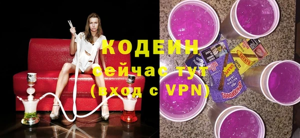 стафф Касимов