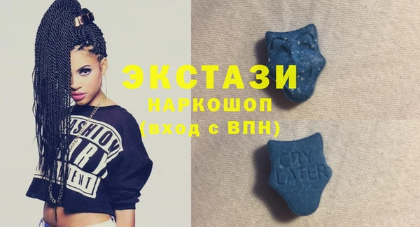 стафф Касимов