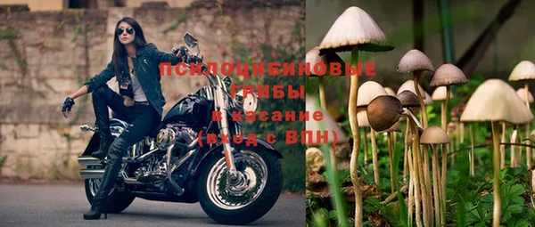 бошки Карталы