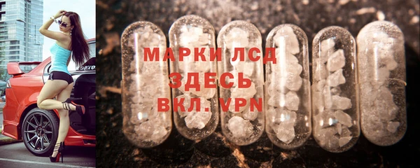 стафф Касимов