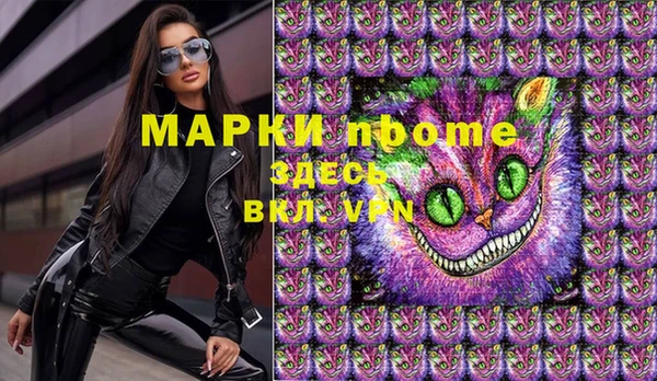 стафф Касимов