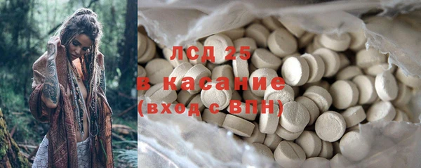 стафф Касимов