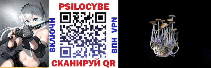 Купить закладки  Устюжна  Псилоцибиновые грибы Psilocybine cubensis 